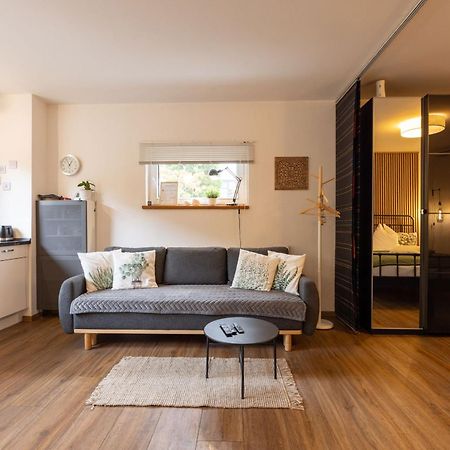 אדלסדורף Ideal Fuer Kurze Aufenthalte - Gemuetliches 1-Zimmer-Apartment מראה חיצוני תמונה